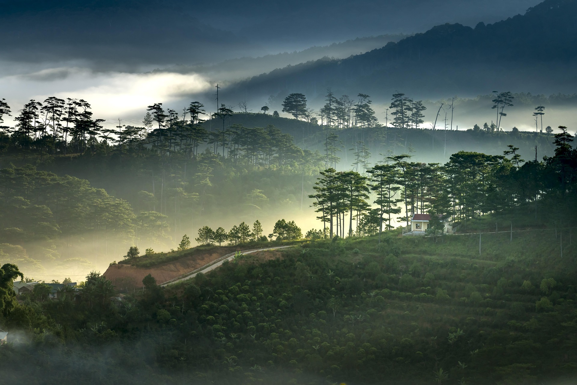Dự án tín chỉ carbon